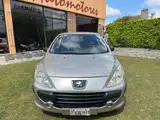 Peugeot 307 - Miniatura 2