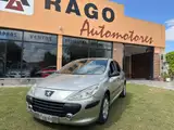Peugeot 307 - Miniatura 1