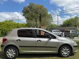 Peugeot 307 - Miniatura 4