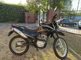 Mondial TD 150 - Miniatura 4
